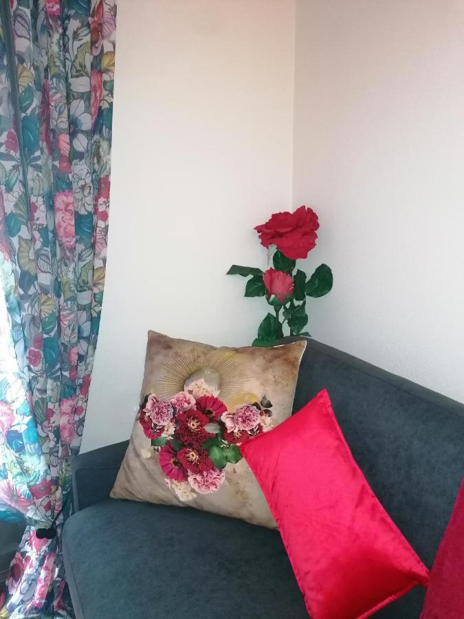 Chez Frida Appartement Le Puy-en-Velay